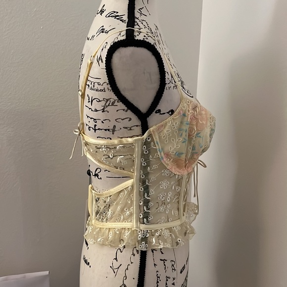 Vintage Eyelet Rose Thong and Bustier set - Picture 9 of 15